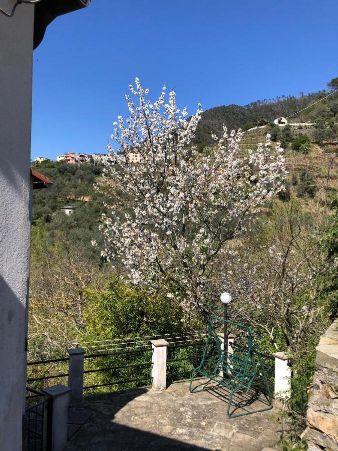 Dolcevia Daire Levanto Dış mekan fotoğraf