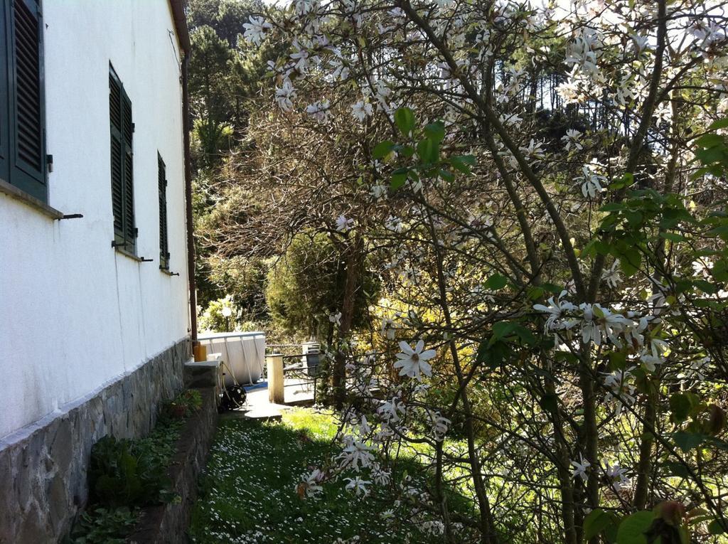 Dolcevia Daire Levanto Dış mekan fotoğraf